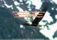 "Pero los que esperan en Jehov tendran nuevas fuerzas; levantaran el vuelo como las aguilas; correran, y no se cansaran; caminaran y no se fatigaran"