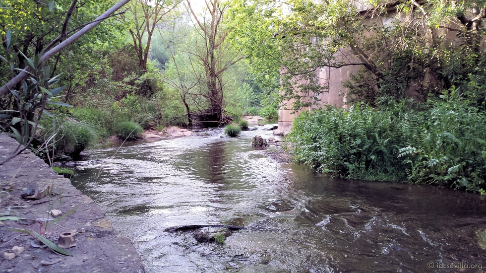 Rio Huesna