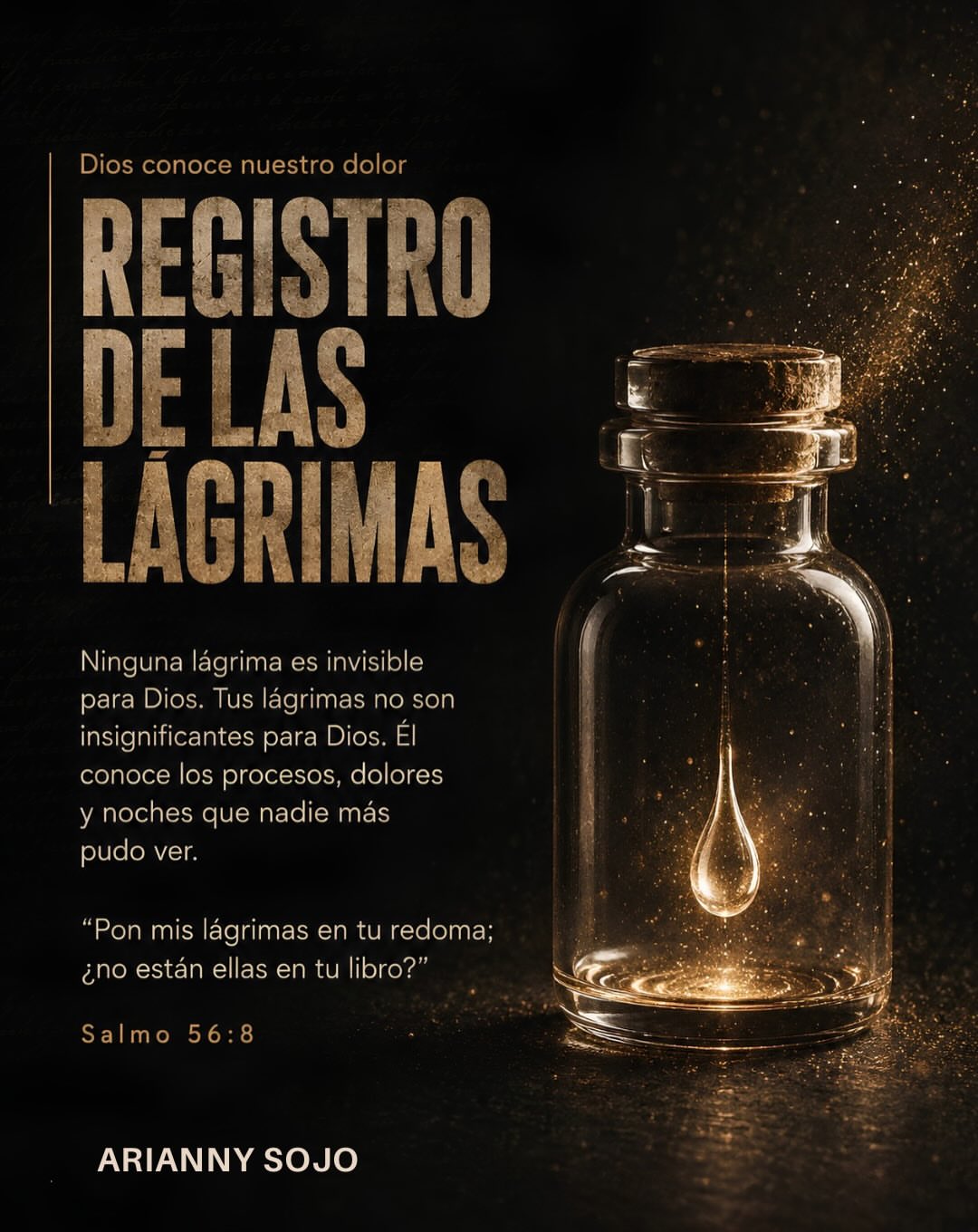 6registros-0012
