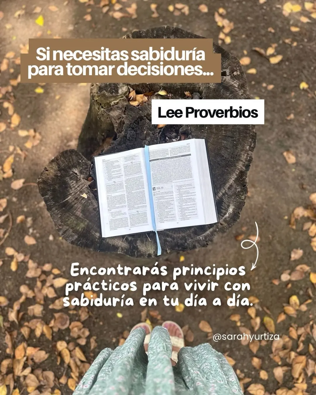 Que libro de la Biblia deberias leer-0002