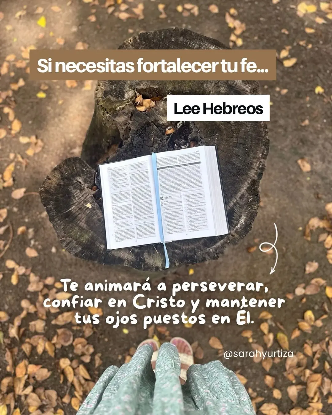 Que libro de la Biblia deberias leer-0004