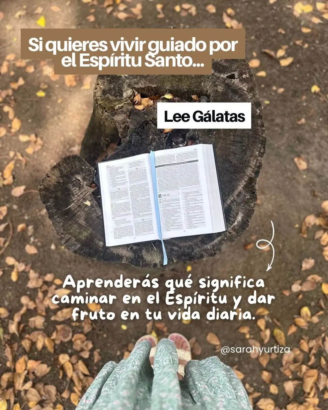 Que libro de la Biblia deberias leer-0005