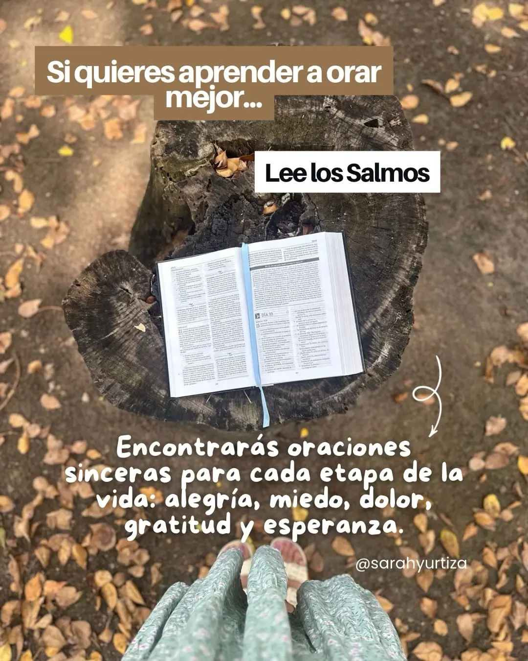 Que libro de la Biblia deberias leer-0006