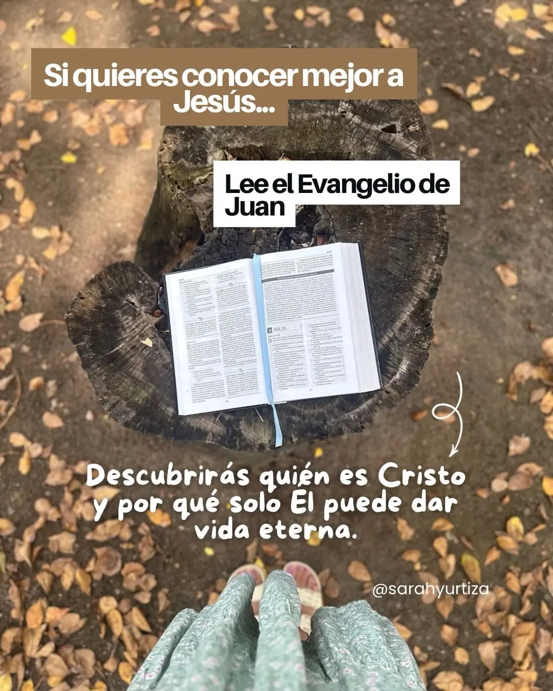 Que libro de la Biblia deberias leer-0008