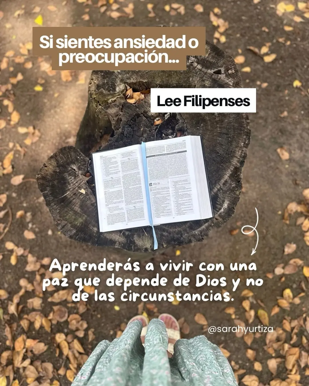 Que libro de la Biblia deberias leer-0010