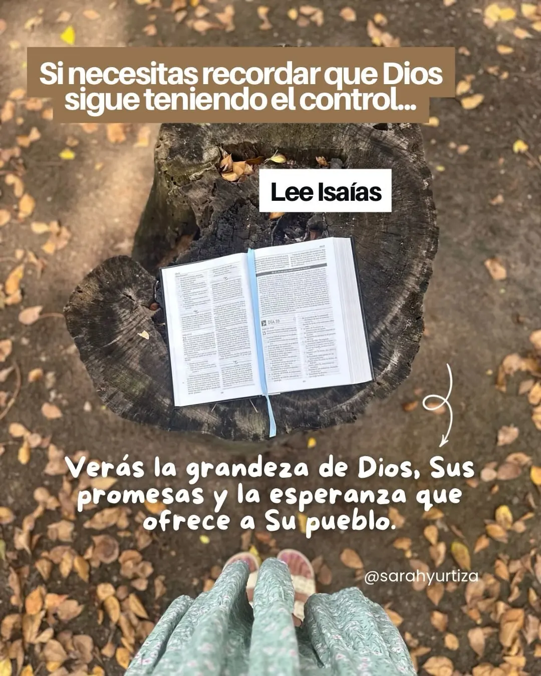Que libro de la Biblia deberias leer-0012