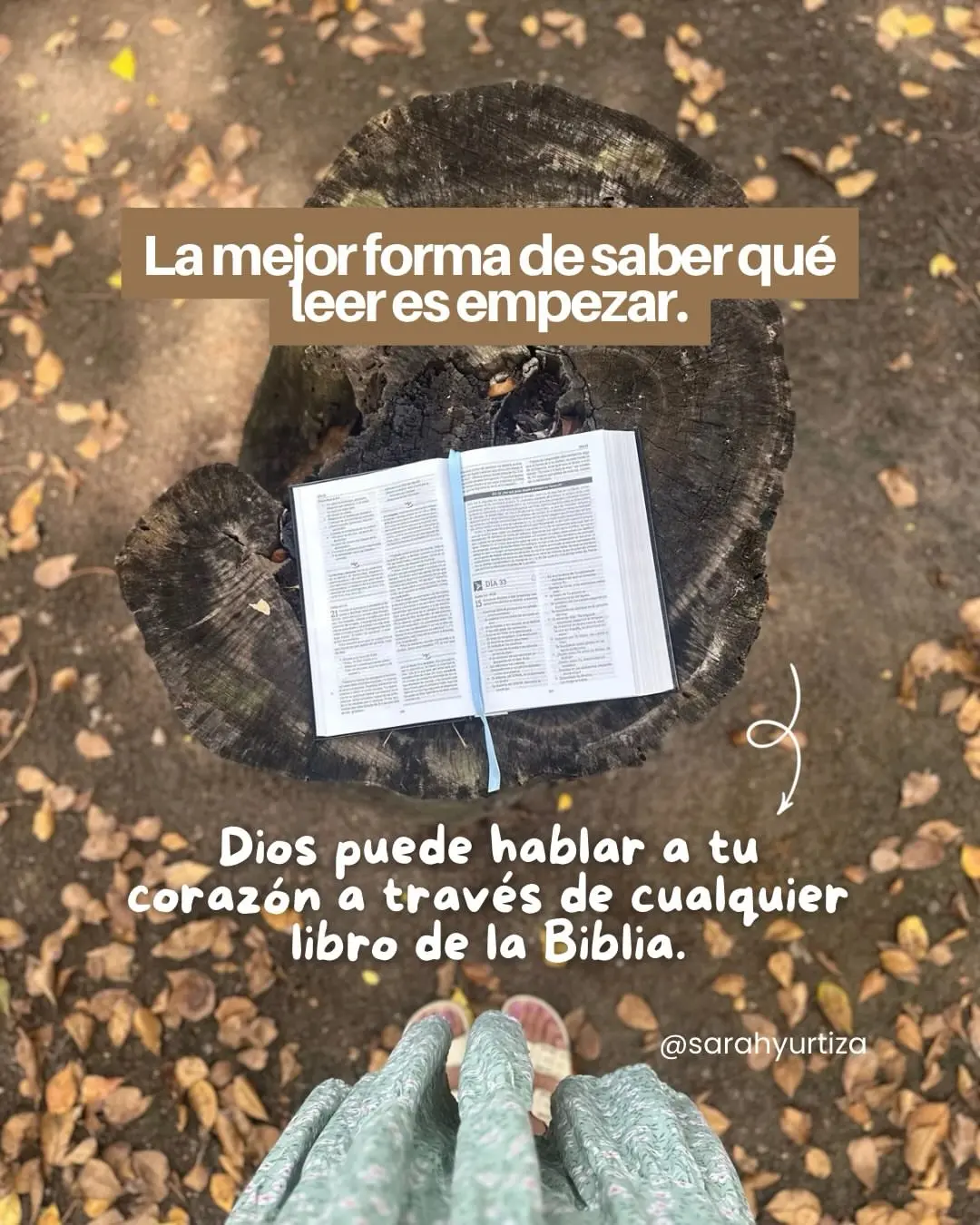 Que libro de la Biblia deberias leer-0013
