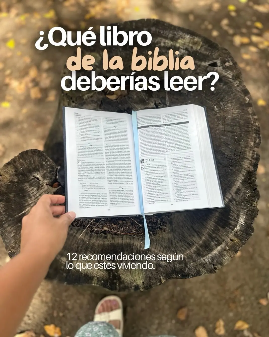 Que libro de la Biblia deberias leer