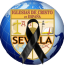 idcsevilla_luto (1)