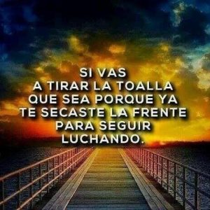 Si vas a tirar la toalla ...